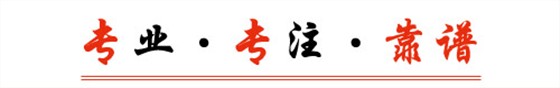 专业专注靠谱
